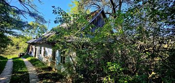 Siedlisko-  rzepiennik biskupi- małopolska