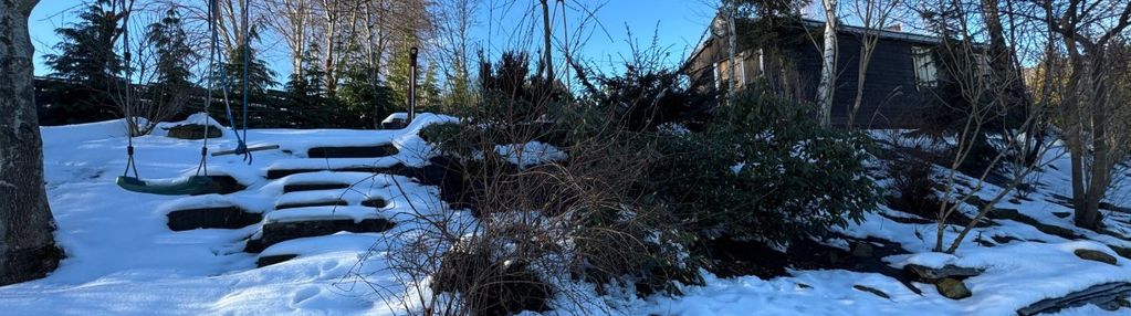 Działka z wielkimi możliwościami - rozdziele