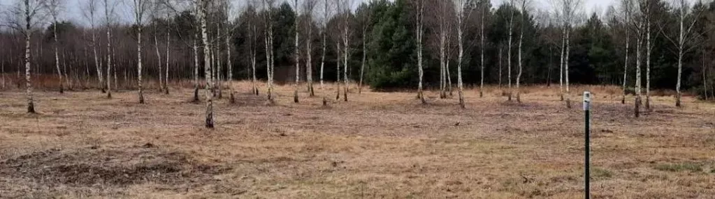 Działka na sprzedaż 3000m2