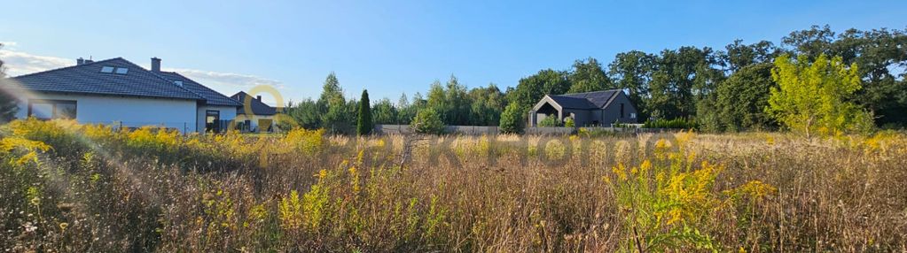 Działka - zbrudzewo - blisko las i  mpzp !!  i
