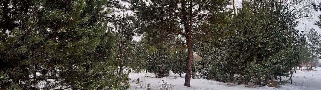 Działka rolno-leśna  – idealna pod dom letniskowy