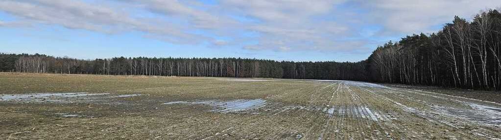 Grunt rolny 4,98 ha, lechlin gmina skoki