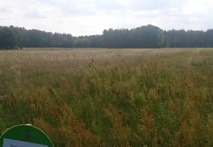 Działka na sprzedaż 1600m2