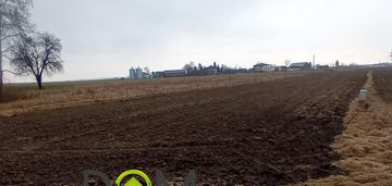 Działka rolno-budowlana -tomaszówka...