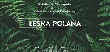 1 z 54 działek, widok na las, wz, obok vilpark