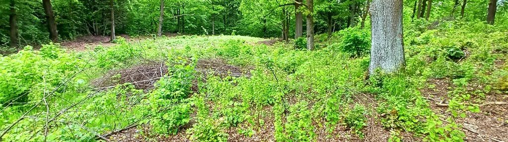 Działka budowlana widok na pasmo karkonoszy