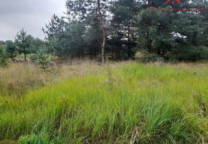 Działka w oborach /obrowo/ na leśnej polanie