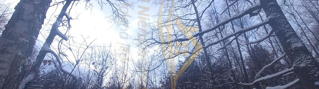 Wyjątkowa nieruchomość