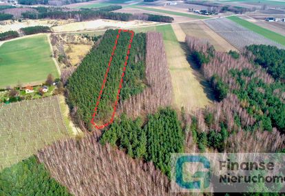 Działka leśna w miejscowości niemgłowy, gm.cielądz