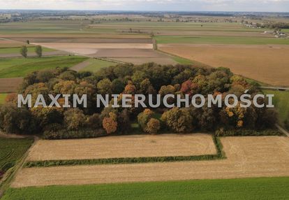 Park podworski kiełki – rezydencja z historią