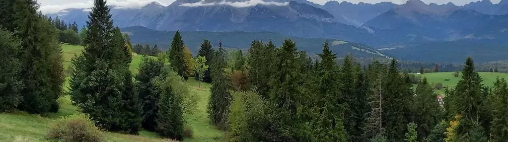 Azyl pod dom, kameralny ośrodek. Kompleks 1,3 ha