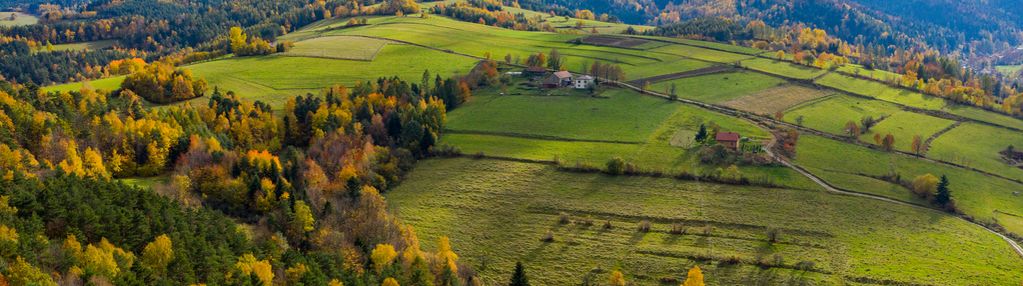 Działka rolno-leśna  we frycowej