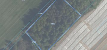 Działka mazury zwierzewo ostróda