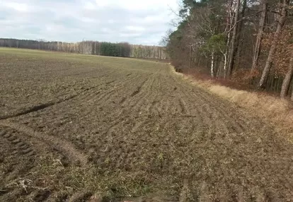 Działka na sprzedaż 3002m2