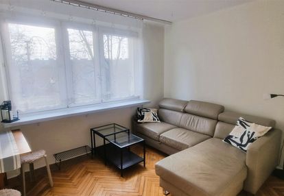 Studio, 21 m2, ugorek, świeżo wyremontowane