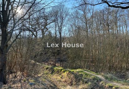 Działka objęta mpzp | leśna polana