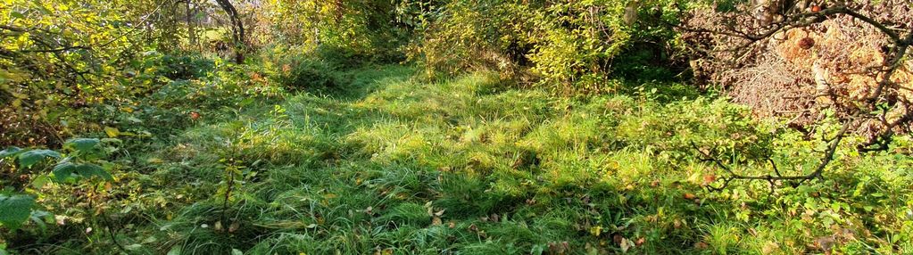 Działka inwestycyjna niedaleko pętli tramwajowej