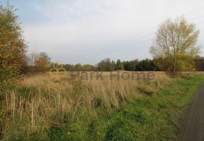 Działka 31,5 ar w otoczeniu zieleni w kiełczu