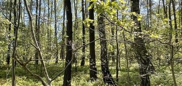 Działki na sprzedaż – ciemne k. radzymina