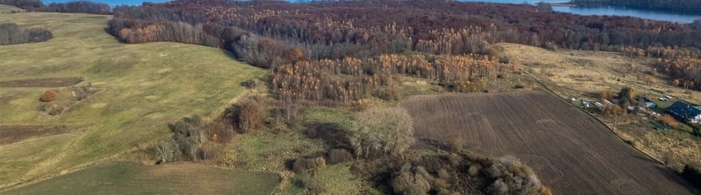 Duża działka w towarzystwie jeziora w złocieńcu!