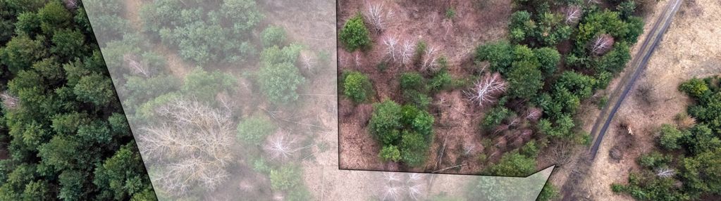 Działka budowlana w kędzierówce