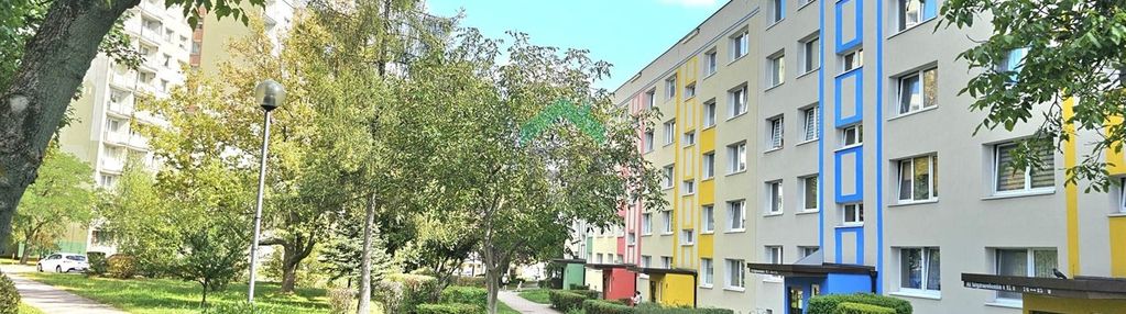 Cztery pokoje na północy