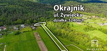 Widokowa |rolno-budowlana| duża powierzchnia|