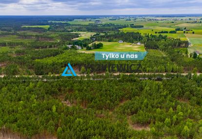 Urokliwa działka leśna o dużej powierzchni!