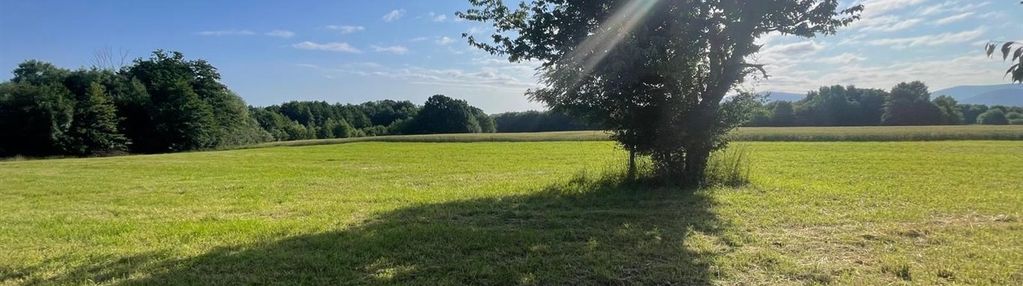 Widokowa, słoneczna działka przy ul. jeżynowej