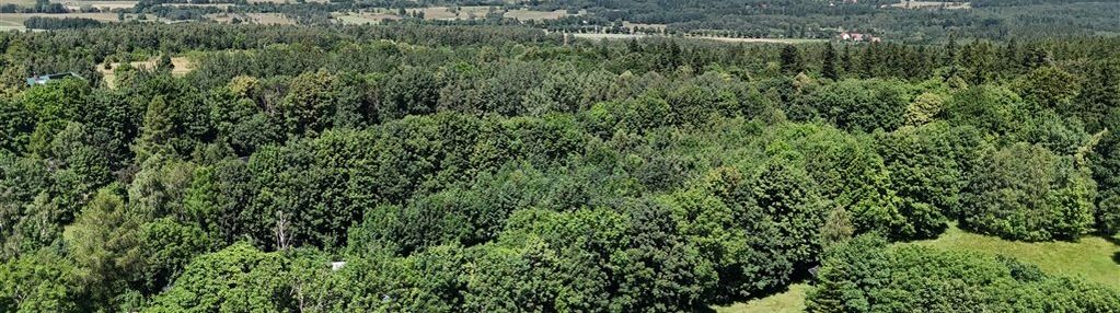 Antoniów - działka budowlana.