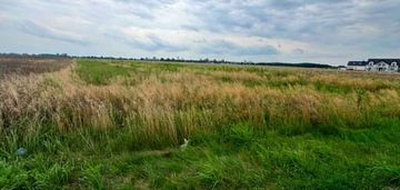 Garwolin 9 166 m² plan mnu/możliwość podziału
