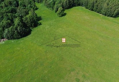 Sprzedam działkę 2,57 h - borownica, gm. bircza