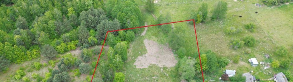Działka  3278 m2| sokule | przy lesie