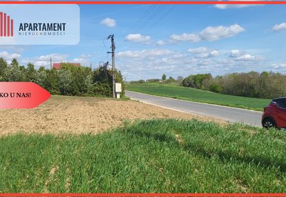 Działki rolne śmielin