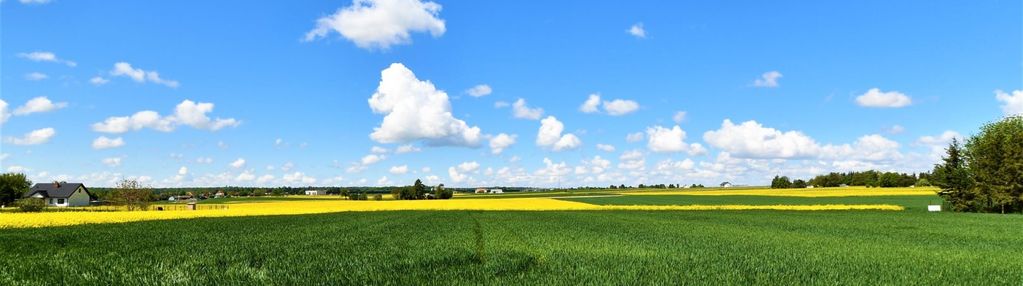 Piękna działka budowlana 15 minut od lublina !