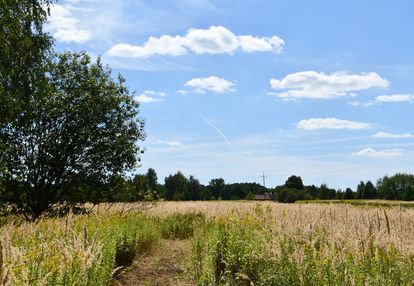 Działka rolna 43a - strażów