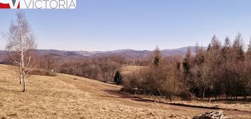 Panorama góry sowie