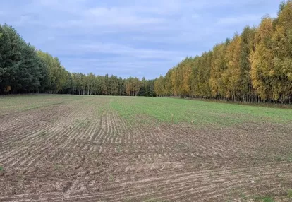 Działka na sprzedaż 297m2