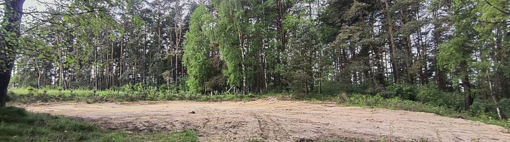 Kompleks działek w otulinie lasu- dobrzewino!