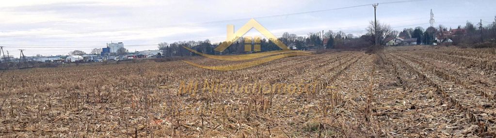 Działka w chrzanowie dużym 3500m2