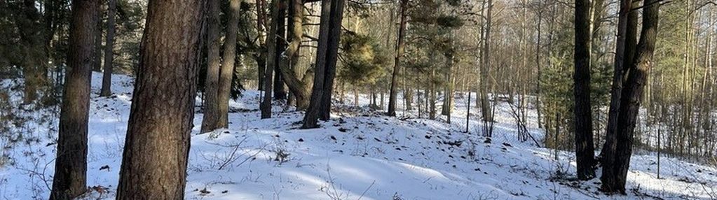 Działka budowlana w lesie, 1500 m² .