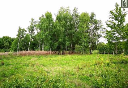Bardzo klimatyczna, ciekawa okolica