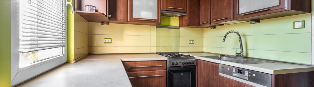 Zielony lsm twoim miejscem