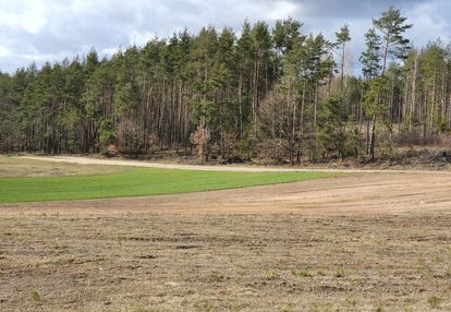 Działka w pięknej i spokojnej  okolicy