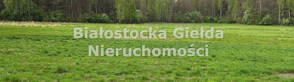 ###działka 9300m2//piliki//spokojna okolica###
