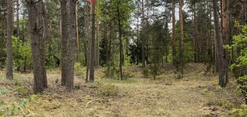 Działka w lesie 2064 m² - letniskowa i całoroczna