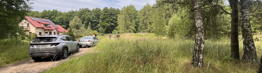 Cisza, las i przestrzeń – działka w grabach