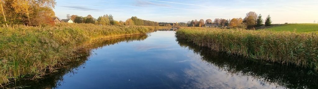 Działka nad czarną hańczą, buda ruska