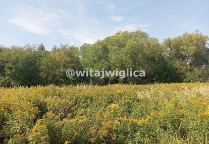 Działka budowlana w iwinach