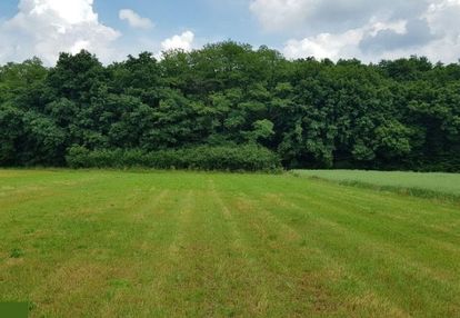 Piękna działka w gm. niepołomice bud-rol, 49 ar